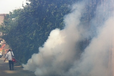 Hà Nội đang ở thời điểm đỉnh dịch sốt xuất huyết