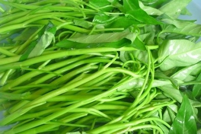 Cách nhận biết rau muống nhiễm chì nhanh chóng