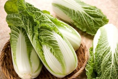 Kỹ thuật trồng cây cải thảo đơn giản, cho năng suất cao