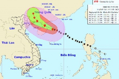 Đọc báo hôm nay: Những tin tức mới cập nhật ngày 4/10/2015