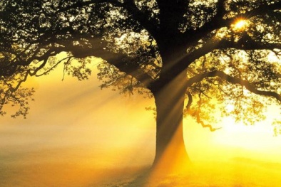 Dự báo thời tiết ngày mai 6/10: Bắc Bộ ngày nắng, chiều và tối có mưa 