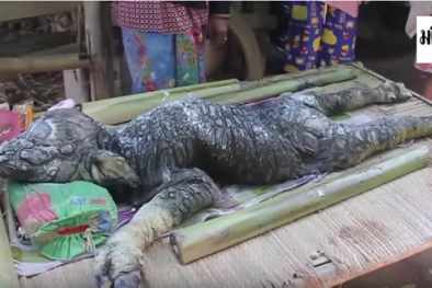 Sinh vật lạ với hình thù kỳ dị xuất hiện ở Thái Lan
