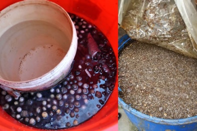 Người dân Việt Nam đang tự đầu độc lẫn nhau?!