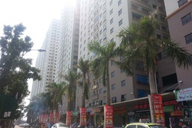 Dự án Đại Thanh vi phạm vẫn cấp 'sổ đỏ': Lãnh đạo Sở TN&MT nói gì?