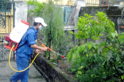 Lo ngại thuốc phun muỗi phòng sốt xuất huyết độc hại có chính xác?