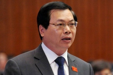 Trình độ phát triển thấp nhất TPP, Việt Nam phải làm gì để đứng vững?