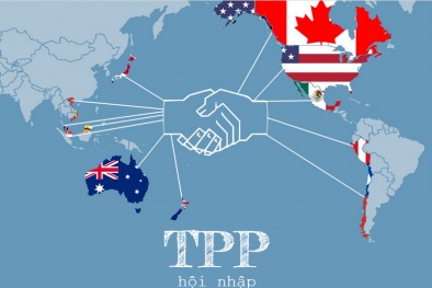 Việt Nam hưởng lợi từ TPP: 'Tôi lo lắng nhất là sự chuẩn bị...'
