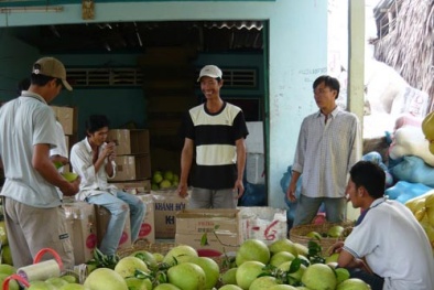 Ăn bưởi tốt cho sức khỏe mà không lo hóa chất