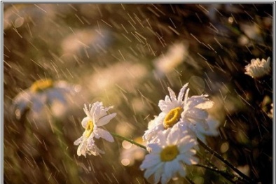 Dự báo thời tiết ngày mai 10/10: Bắc Bộ trời trở lạnh 