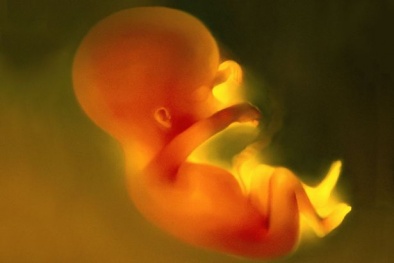 Ngỡ ngàng thai nhi 14 tuần tuổi biết múa hát trong bụng mẹ