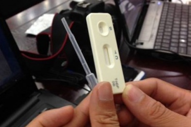 Que thử chất tạo nạc chính xác 100%