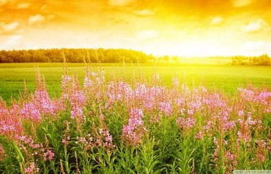 Dự báo thời tiết ngày mai 13/10: Bắc Bộ phổ biến không mưa, ngày nắng 