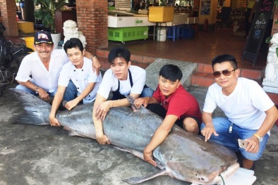 ‘Thuỷ quái’ khổng lồ từ Campuchia về Sài Gòn