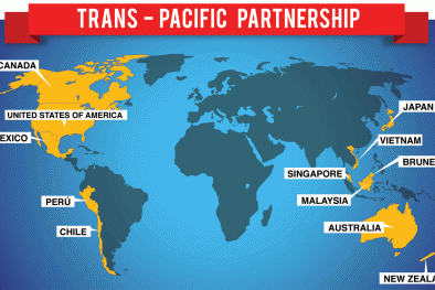 Việt Nam sẽ thiệt thòi khi TPP chỉ có tiêu chuẩn chung?