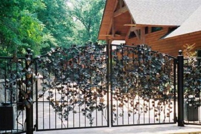 Bố trí cổng nhà theo phong thủy hợp mệnh gia chủ 