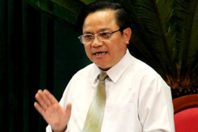 'Sai phạm thường do báo chí phát hiện ra, thanh tra thì tầng tầng lớp lớp'
