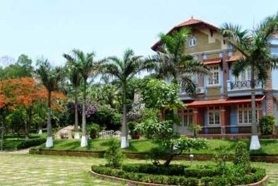 Những lưu ý khi trồng cây trong sân nhà theo phong thủy 