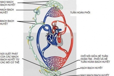 Hạch cổ có phải là ung thư?