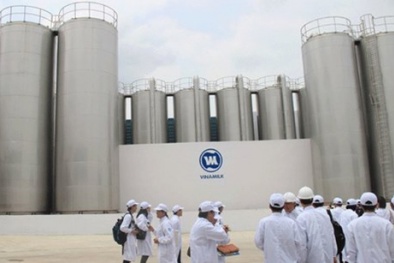 Thoái vốn khỏi Vinamilk, vốn nhà nước đã sinh lời 16,5 lần