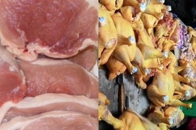 Tiêu hủy 13kg vàng ô gây ung thư dùng để trộn thức ăn cho gà