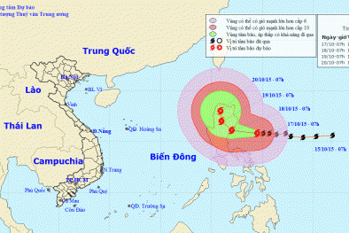 Tin bão mới nhất: Siêu bão Koppu sẽ đổ bộ Philippines vào đêm nay
