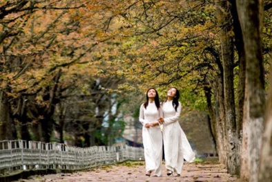 Dự báo thời tiết ngày mai 19/10: Bắc Bộ phổ biến không mưa, ngày hửng nắng 