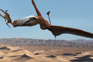Phát hiện hàng loạt loài khủng long kỳ lạ tại Mỹ