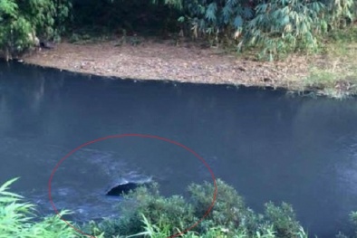 Phát hiện nam thanh niên tử vong trong xe 'biển xanh'