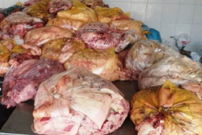Hàng tấn nội tạng động vật hôi thối 'đe dọa' sức khỏe người dân