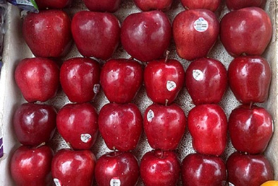 Táo đỏ Phú Sỹ gắn nhãn ‘đảo Điếu Ngư là của Trung Quốc’ vi phạm luật