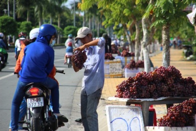 Nho Trung Quốc đội lốt nho Ninh Thuận vẫn theo chân tiểu thương đi khắp phố