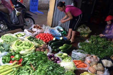 22% mẫu rau ở Hà Nội có thuốc gây ngộ độc