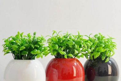 Những lưu ý phong thủy khi đặt bình hoa trong nhà