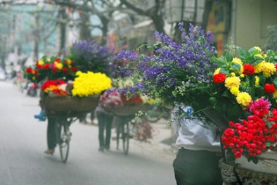 Dự báo thời tiết ngày mai 24/10: Bắc Bộ và Trung Bộ tiếp tục có nắng diện rộng