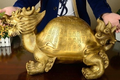 Bày rùa phong thủy trong nhà 'rước' may mắn, tiền tài 