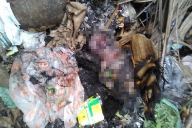 Bàng hoàng các vụ mẹ đốt con, vứt con ở bãi rác 