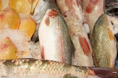 Cách chọn cá không bị nhiễm độc