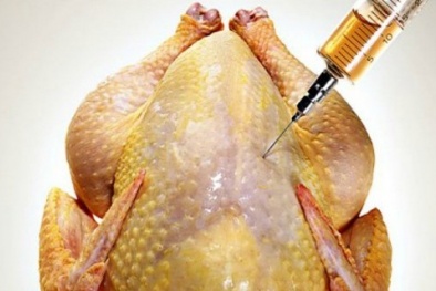 FDA thừa nhận 50% gà nhiễm độc thạch tín gây nguy cơ ung thư