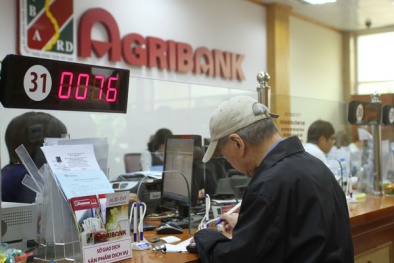 Agribank ưu tiên tuyển dụng con em cán bộ: Thế giới cũng làm vậy?