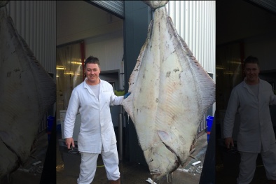 Cá bơn ‘quái vật’ nặng nhất lịch sử nước Anh sa lưới ngư dân