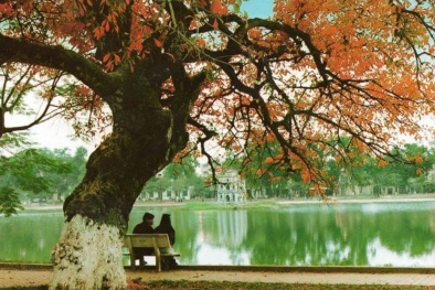 Dự báo thời tiết ngày mai 27/10: Đêm và sáng nhiều mây, có mưa vài nơi 