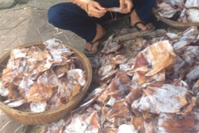 Mực bẩn đem phơi khô, ruồi bâu kín vẫn 'cháy hàng'