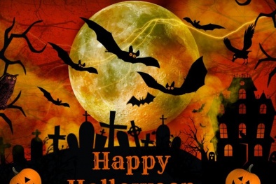 Vì sao phải tránh mèo đen trong lễ Halloween?