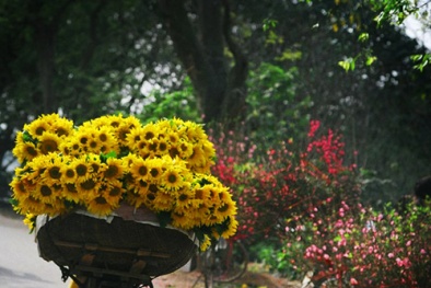 Dự báo thời tiết ngày mai 28/10: Bắc Bộ đêm và sáng trời se lạnh 