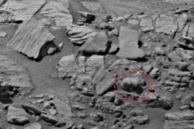 Lại xuất hiện hình ảnh con gấu con trên sao Hỏa gây tranh cãi