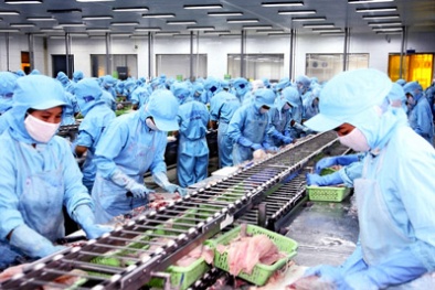 Đối tác nhập khẩu cảnh báo chất cấm trong thủy sản Việt Nam xuất khẩu