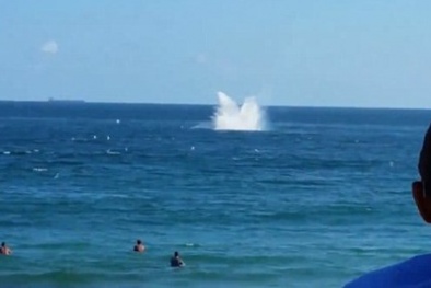 Máy bay bất ngờ rơi thẳng tắp xuống biển khi đang biểu diễn