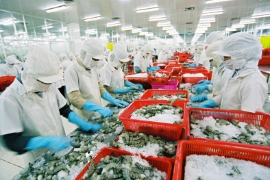Báo động 542 lô hàng thủy sản xuất khẩu của VN bị 38 nước trả về