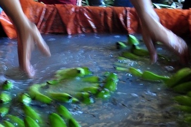 Gian thương tẩm thuốc độc cho chuối