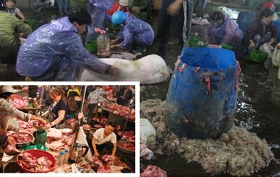 Rùng mình lò mổ tự phát